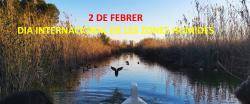 X&uacute;quer Viu alerta de la fragilitat de l?Albufera en el Dia Mundial dels Aiguamolls