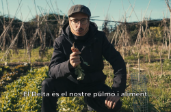 Caixa de resist&egrave;ncia per salvar el Delta del Llobregat