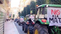 M&eacute;s de 1.500 persones es manifesten a Reus contra la MAT Arag&oacute;-Catalunya