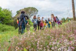 El FestiNat posa el focus en les esp&egrave;cies amena&ccedil;ades amb m&eacute;s de 50 activitats a Riudarenes