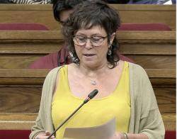 Pilar Castillejo avui al Parlament