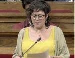 La CUP reclama prioritzar l�educaci&oacute; i els serveis p&uacute;blics per davant dels grans esdeveniments institucionals
