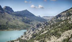 "Diari de Balears" es fa ress&ograve; de la situaci&oacute; de sequera que afecta el conjunt de les Illes
