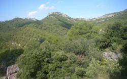 SOS Costa Brava denuncia que el nou decret contra el fondeig sobre la posid&ograve;nia no s'aplica a la Costa Brava