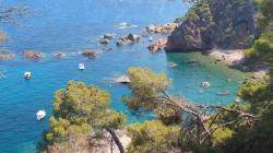 SOS Costa Brava denuncia el robatori de les boies de seguretat de quatre cales protegides de la Costa Brava