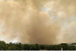 Si no s?eviten els incendis, el frac&agrave;s est&agrave; garantit