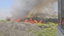 L?incendi declarat aquesta tarda al Saler obliga a evacuar el nucli de poblaci&oacute; i els c&agrave;mpings