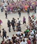 Amnistia Internacional denuncia un &laquo;&uacute;s excessiu de la for&ccedil;a&raquo; contra el jove que portava una estelada a Elx
