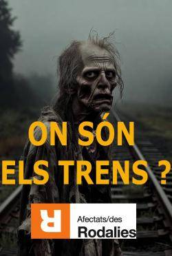 Afectats Rodalies denuncia la manca de trens i torna a exigir la sortida de Renfe i Adif de Catalunya