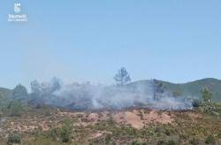 Estabilitzat el nou incendi forestal de Pina de Montalgrao, a l?Alt Pal&agrave;ncia