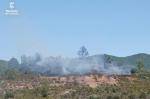 Estabilitzat el nou incendi forestal de Pina de Montalgrao, a l�Alt Pal&agrave;ncia