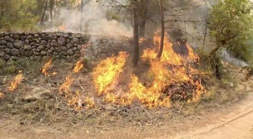 incendis forestals