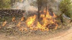 incendis forestals