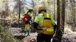 El personal de prevenci&oacute; d�incendis forestals anir&agrave; a la vaga el 30 i 31 d�agost