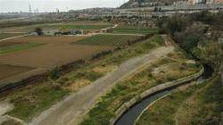 En perill els darrers terrenys agr&iacute;coles de Barcelona (Finca La Ponderosa)