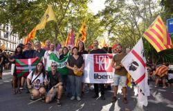 La CUP trasllada l'emerg&egrave;ncia ling&uuml;&iacute;stica i la lluita independentista a una delegaci&oacute; internacional