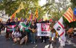 La CUP trasllada l�emerg&egrave;ncia ling&uuml;&iacute;stica i la lluita independentista a una delegaci&oacute; internacional