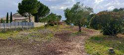 Ecologistes en Acci&oacute; alerta que la nova llei forestal del PP al Pa&iacute;s Valenci&agrave; afavoreix els usos privats i amena&ccedil;a la biodiversitat