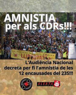 L'Audi&egrave;ncia Nacional espanyola amnistia els dotze CDR de l'operaci&oacute; Judes despr&eacute;s de set anys de persecuci&oacute; judicial
