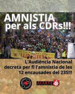 L'Audi&egrave;ncia Nacional espanyola amnistia els dotze CDR de l'operaci&oacute; Judes despr&eacute;s de set anys de persecuci&oacute; judicial